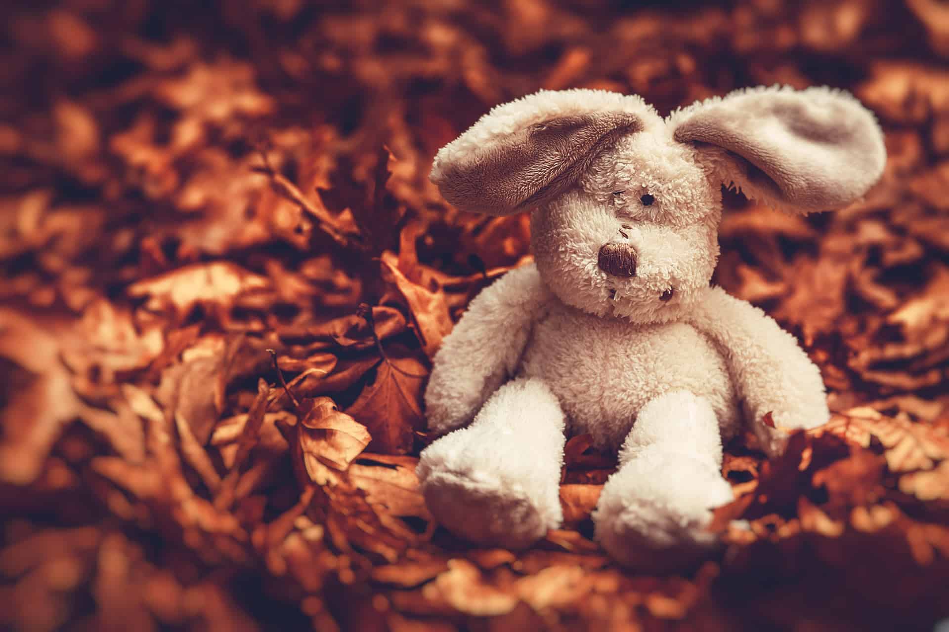 Kaninbamse i efterårsblade